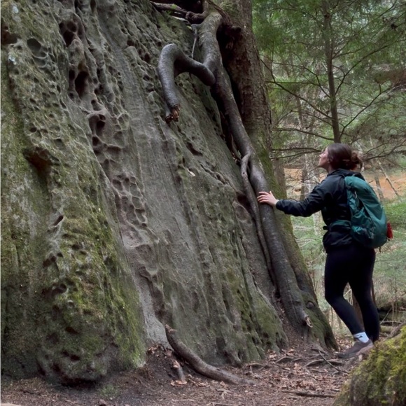 Meet your Posher, Linzy - Picture 5 of 6